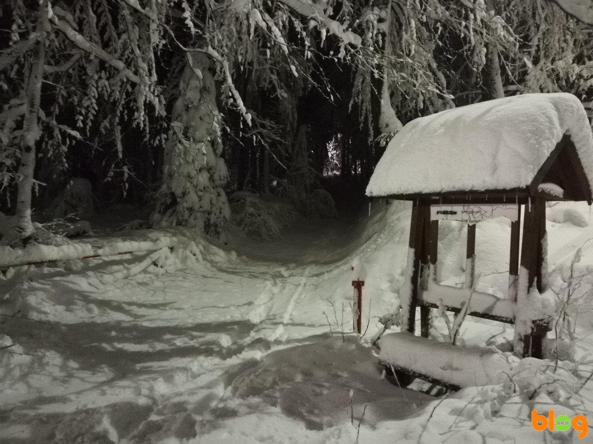 Vzhůru na lyže!