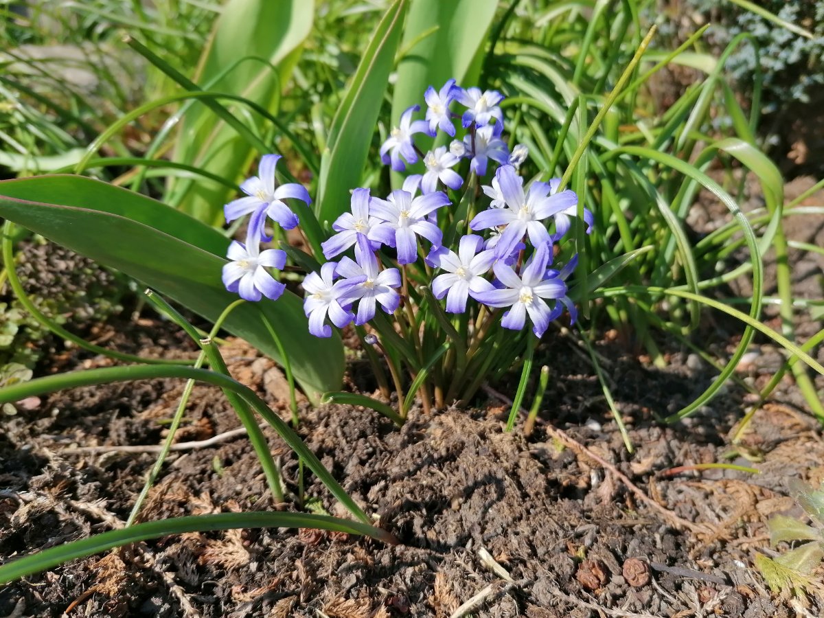 Duben - ještě v karanténě budem!